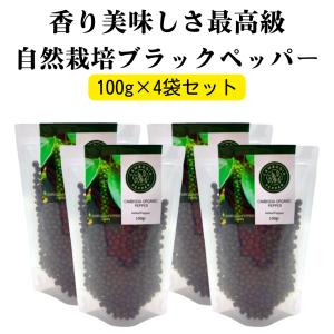 塩漬け胡椒 最高級カンボジア胡椒（ホール）生胡椒 塩漬け100g×4袋 日本法人の管理 自然栽培の安心安全なペッパー｜inb