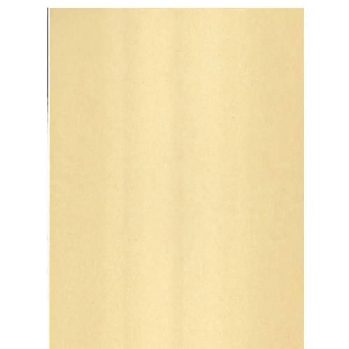 パラフィン紙 無地 (100枚入)/EP-30 /業務用/新品/小物送料対象商品