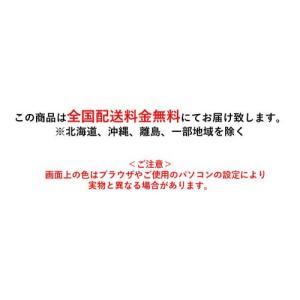 【導入実績 9,000台突破!】【スピード出荷...の詳細画像5