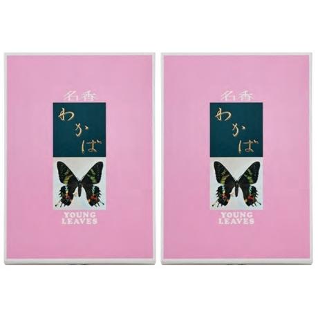 大発 わかば 特大バラ Y-8　２箱セット　大発線香サンプル4種つき