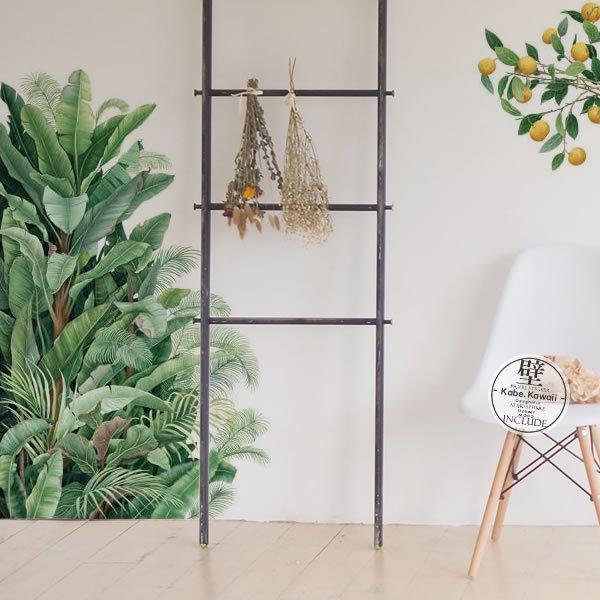 壁ステッカー ウォールステッカー ストレリチア ストレチア サンスベリア サンセベリア アレカヤシ ...