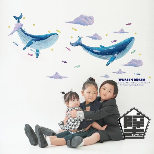 壁ステッカー ウォールステッカー 鯨 クジラ ホエール 動物 子供部屋 魚 海の中 海 貝殻 手紙 ...