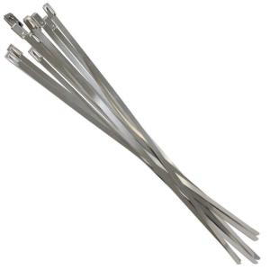 10本『幅4.6mm 200mm/20cm』耐熱 耐腐食 結束バンド ステンレス