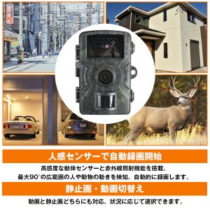 トレイルカメラ 動体検知 防犯 カメラ 108...の詳細画像2