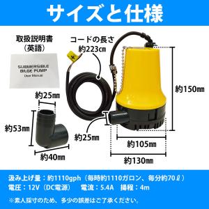 12V ビルジポンプ 1100GPH 海水 対...の詳細画像4