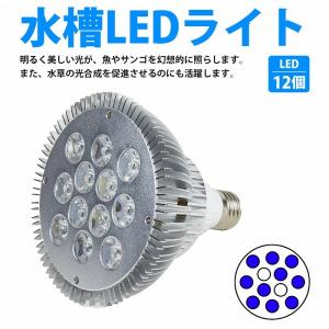【青10白2】24W(2W×12) 電球 E2...の詳細画像1