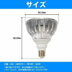 【青10白2】24W(2W×12) 電球 E2...の詳細画像4
