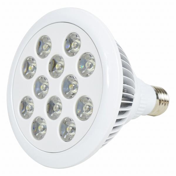 アクアリウム 電球 12 LED 白12 水槽 用 24W スポット ライト E26 口金 照明 交...