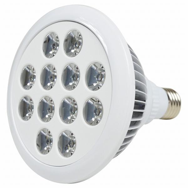 水槽 用 スポット ライト 24W 電球 12LED 青8白4 口金 E26 アクアリウム 電球 照...