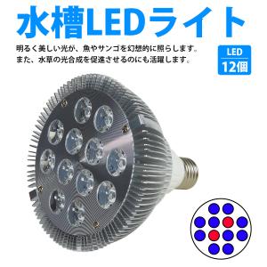 【青10赤2】24W(2W×12) 電球 E2...の詳細画像1