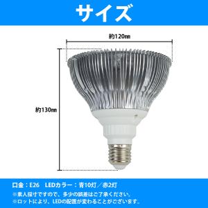【青10赤2】24W(2W×12) 電球 E2...の詳細画像4