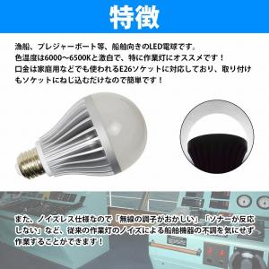 12v 24V 兼用 LED 電球 12W 無...の詳細画像1