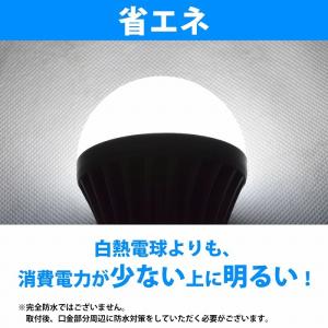 12v 24V 兼用 LED 電球 12W 無...の詳細画像2