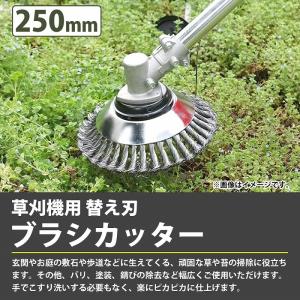 25cm 250mm 2枚セット 草刈機 替え...の詳細画像1