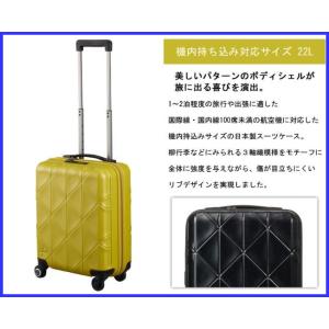 エース　プロテカ　コーリー　22S　02270　＊22リットル　機内持込可　1〜2泊のご旅行用キャリーケース　02270｜increase2