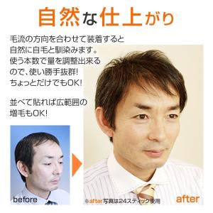 【全品10%中9/17まで】かつら ウィッグ ...の詳細画像2