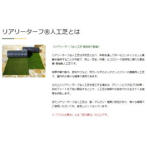 グリーンフィールド リアリーターフ 人工芝 R...の詳細画像3