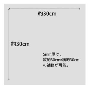 日本ミラコン産業 壁穴埋め補修剤 500G 白...の詳細画像1