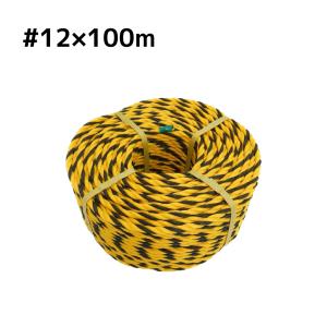 アイネット ダイヤ印標識ロープ #12X100m