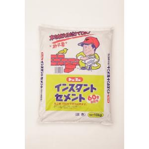 トーヨーマテラン インスタントセメント 灰色10ＫG 60分速乾
