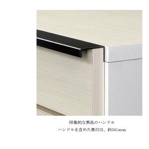スリム シューズボックス 下駄箱 ロータイプ ...の詳細画像3