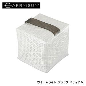 ランドポート ソーラー式エコライト ウォームライト ミディアム