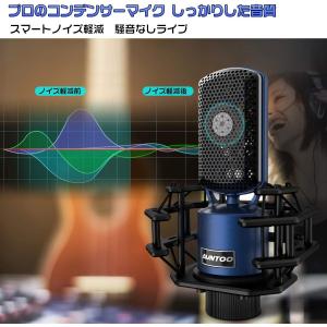 コンデンサーマイク マイク PC 単一指向性 録...の商品画像