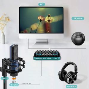 コンデンサーマイク マイク PC 単一指向性 ...の詳細画像5