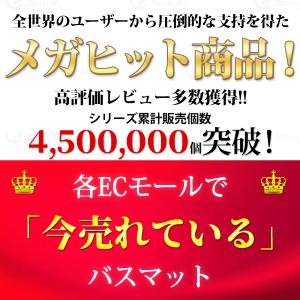 バスマット 40×60 5タイプ 足ふきマット...の詳細画像1
