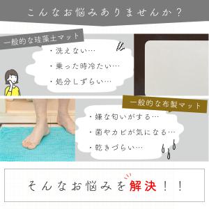 バスマット 40×60 5タイプ 足ふきマット...の詳細画像5