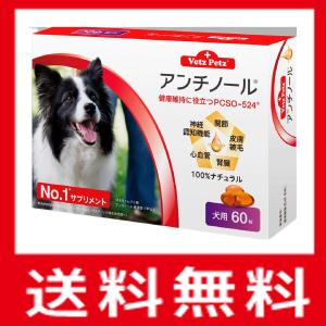 犬 アンチノールの商品一覧 通販 Yahoo ショッピング