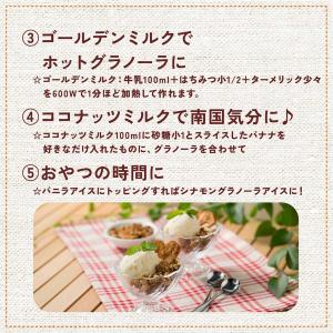 【オリジナル】至福のグラノーラ シナモン&黒糖...の詳細画像5