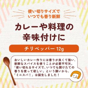 【カレーの辛味付けに】チリペッパー 12g ミ...の詳細画像2