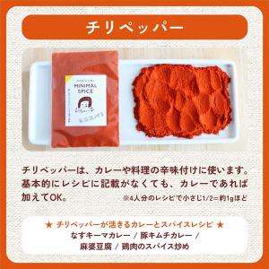 【カレーの辛味付けに】チリペッパー 12g ミ...の詳細画像3