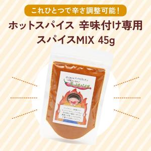 【これひとつで辛さ調整可能!】ホットスパイス ...の詳細画像1