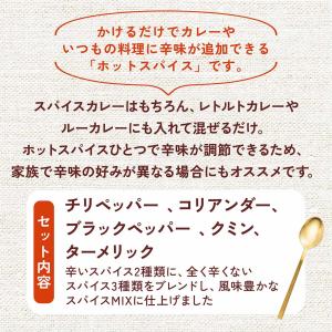 【これひとつで辛さ調整可能!】ホットスパイス ...の詳細画像2