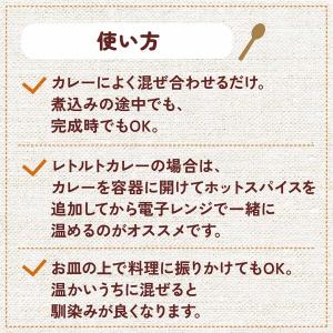 【これひとつで辛さ調整可能!】ホットスパイス ...の詳細画像3