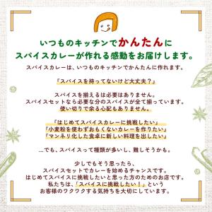 【これひとつで辛さ調整可能!】ホットスパイス ...の詳細画像5