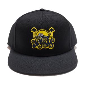 DEATH ROW RECORDS デスロウレコード OG LOGO PAISLEY FITTED CAP