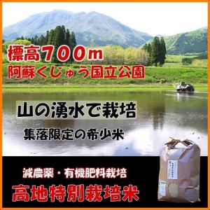 ひとめぼれ 20Kg(5kgx4) 紙袋入り白米 九州熊本大分県阿蘇くじゅう高地特別栽培 農家直送 在庫処分価格　低温貯蔵米　減農薬｜inenoho