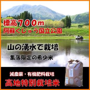 ひとめぼれ 10Kg(5kgx2) 紙袋入り 無洗米 九州熊本大分県阿蘇くじゅう高地特別栽培 農家直送 在庫処分価格　低温貯蔵米　減農薬｜inenoho