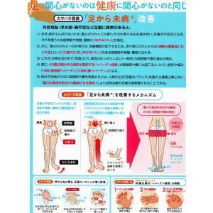 カサハラ 固定力 股腰(ココ)ヘバベルト17(...の詳細画像2