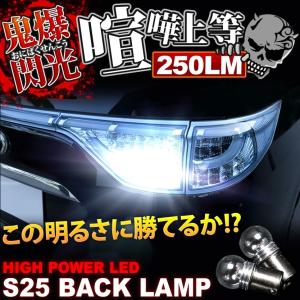 S201/211P ハイゼットトラックジャンボ H16.12〜 RIDE LED ナンバー灯