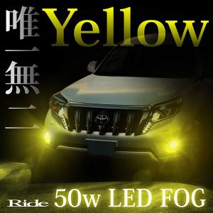 CCEFW ビアンテ LED 50W イエロー フォグ H11