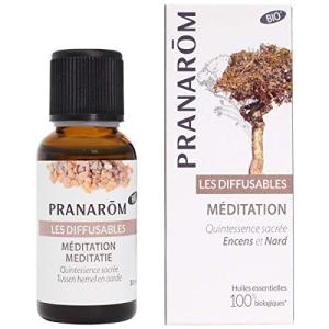 プラナロム メディテーション 30ml ルームコロンエアフレッシュナー ルームコロン