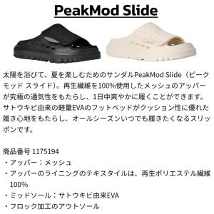 アグ UGG サンダル メンズ 1175194...の詳細画像1