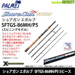 DAIWA（ダイワ） キャタリナ 61MHS・E ／ジギングロッド