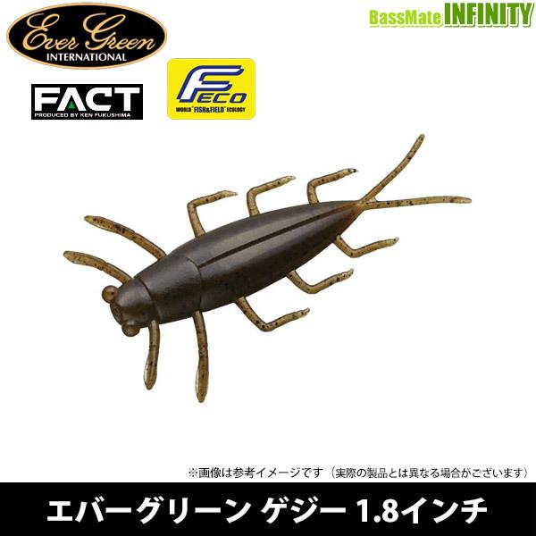 ●【Feco】エバーグリーン　FACT ファクト Gezzy ゲジー 1.8インチ 【メール便配送可...