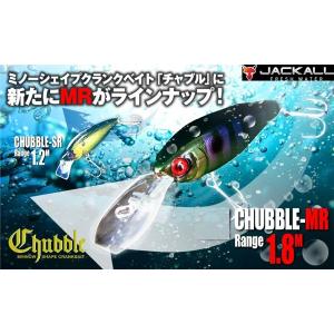 ジャッカル ジェロニモ チコ フラット : 松本釣具店Yahoo!店 - 通販