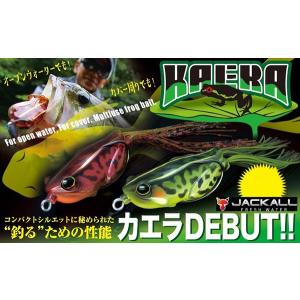 テンフィートアンダー 10FTU イェーガー 【まとめ送料割】 : 釣具の